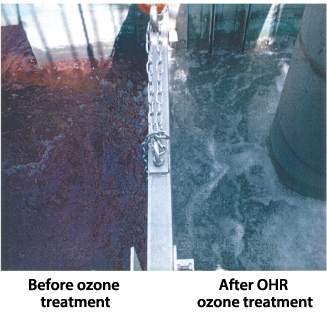 Before and after OHR ozone treatment