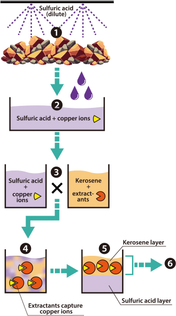 process figure